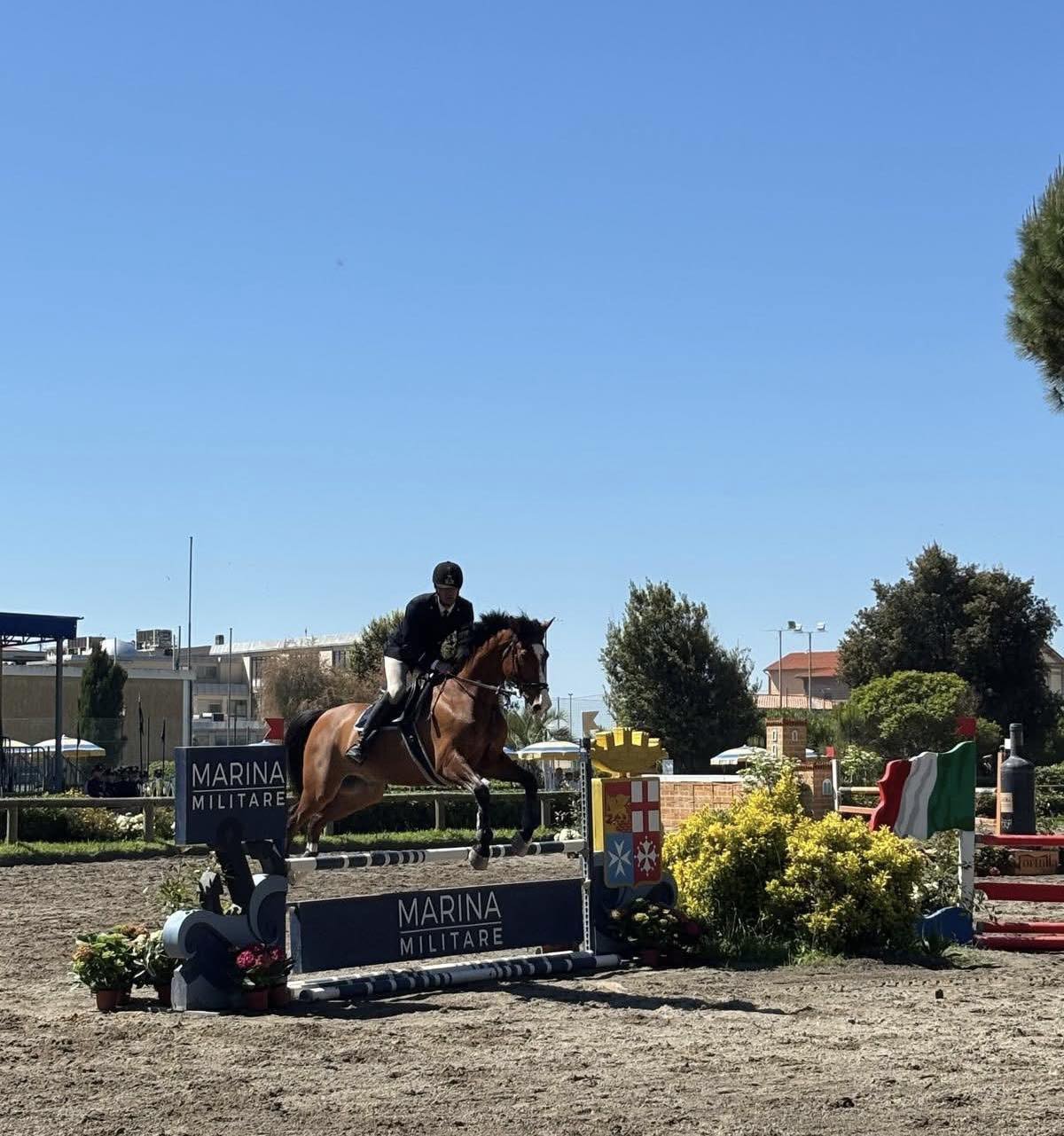 cavallo.jpg